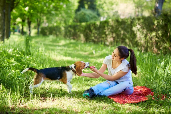 köpeği ile güzel kız.