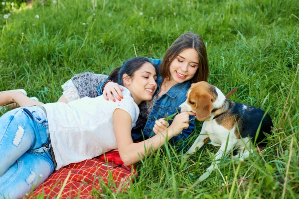 Two friends and beagle.Two young happy woman, having fun in bri