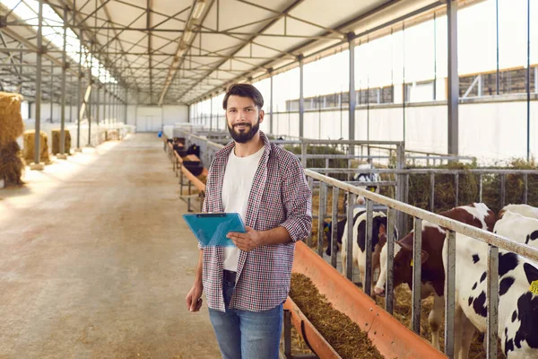 Veehouderijmanager of eigenaar van het bedrijf met klembord in de hand staande in schuur met kalveren — Stockfoto