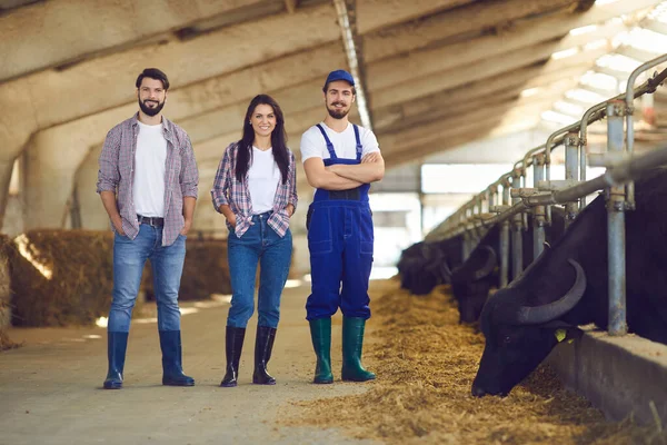 Groep gelukkige jonge veehouders die in een veestapel staan en glimlachen — Stockfoto