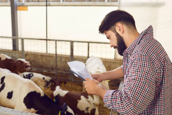 Boer met documenten voor kwaliteitsbewaking in schuur met kalveren op veebedrijf — Stockfoto