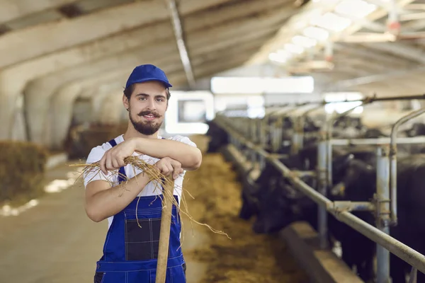 Campesino joven apoyado en la pala y mirando a la cámara, de pie en el granero con la alimentación de ganado —  Fotos de Stock