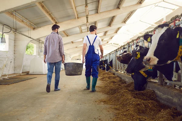 Man boeren of warme arbeiders in uniform en rubberen laarzen met emmer hooi — Stockfoto