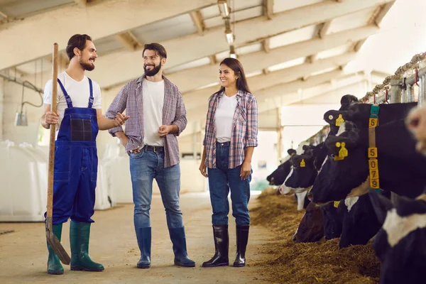 Smiling farmers and barn worker with spade in hand standing in cowshed and talking — Stock Photo, Image