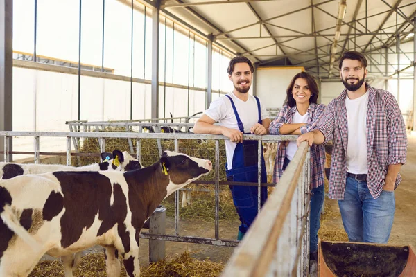 Groep gelukkige landarbeiders in de buurt van kooi met kalveren in stal op veehouderij — Stockfoto