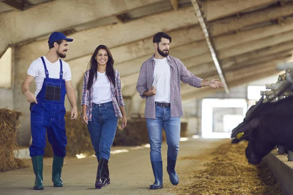 Een paar jonge boeren en een medewerker lopen langs een rij buffels in een stal. — Stockfoto