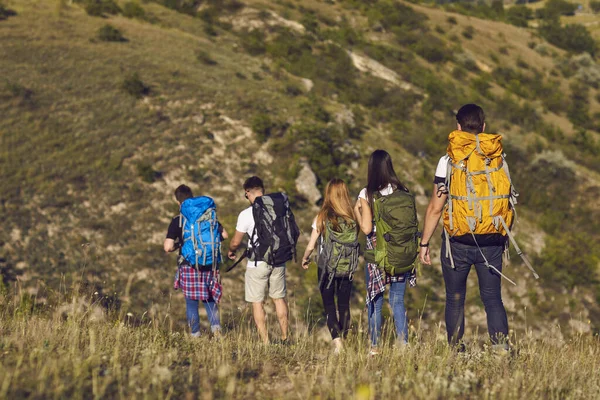 Skupina přátel turisté turisté s batohy turistika v řadě na zelených horách údolí — Stock fotografie