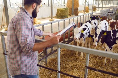 Genç çiftçi ya da çiftlik sahibi elinde belgelerle ineklerle iletişim kuruyor.