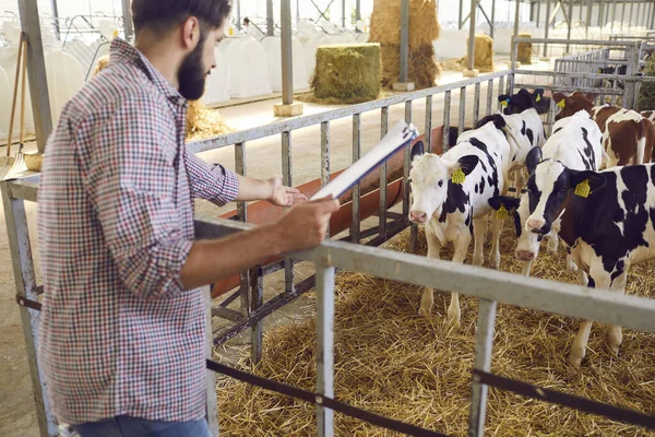 Joven agricultor o propietario de la granja de pie con los documentantes y la comunicación con las vacas —  Fotos de Stock