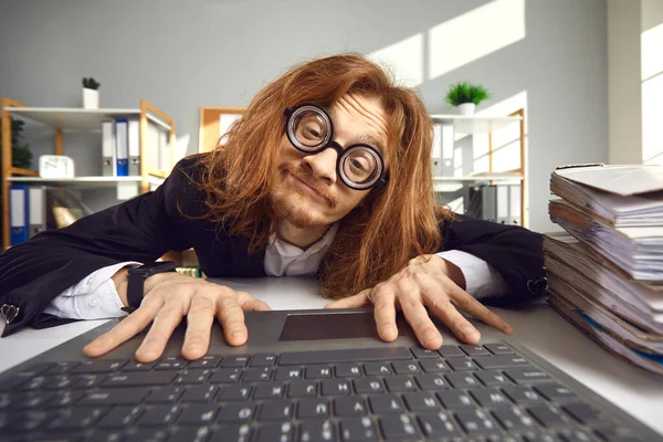 Gözlüklü komik inek dizüstü bilgisayar kullanıyor ve internette bilgi arıyor. — Stok fotoğraf