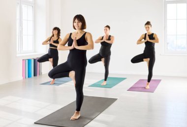 Yoga yapan kadınlar ağaç poz sınıfında dengede duruyorlar. Tek ayak üstünde duruyorlar, avuçlar kalpte, parlak bir stüdyoda paspasların üzerinde. Yumuşak ışık farkındalığı arttırır. Sakin denge konsepti teması.