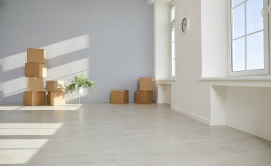 Taşınma gününde yeni bir ev ya da daire. Beyaz ve açık gri duvarları, beyaz pencereleri, yeşil bitkileri, karton kutuları ve lamine döşemeleri olan boş, ferah bir oturma odası. Emlak kavramı