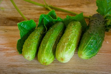 Ahşap rustik masa üzerinde dekapaj baharatlar ile olgun salatalık