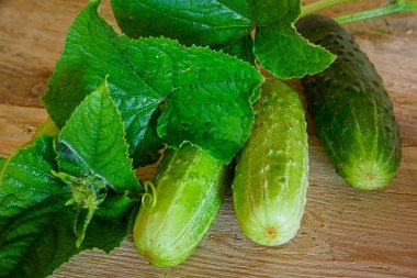 Ahşap rustik masa üzerinde dekapaj baharatlar ile olgun salatalık