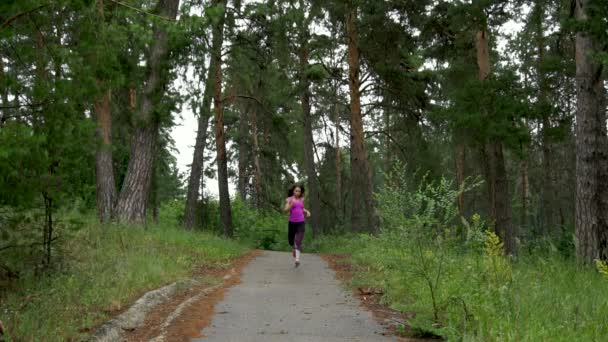 La chica deportiva corre por el parque por la mañana. Movimiento lento . — Vídeo de stock