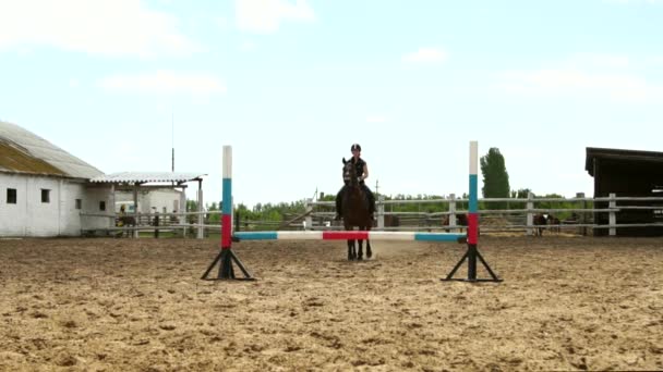 Cavallo donna salta attraverso la barriera a cavallo rallentatore — Video Stock