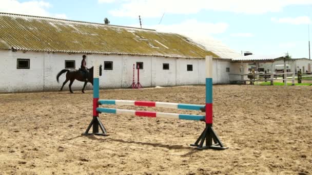 Cavallo donna salta attraverso la barriera a cavallo rallentatore — Video Stock