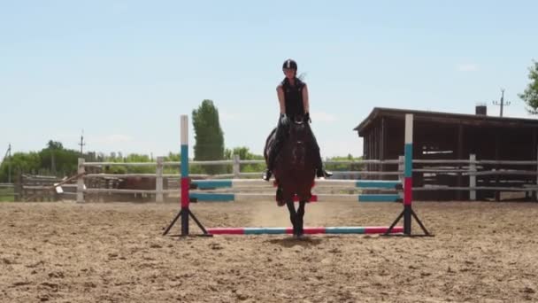 Kobieta koń skacze przez barierę na jazdę zwolnionym tempie — Wideo stockowe