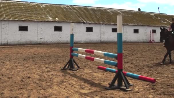 Mujer caballo salta a través de la barrera en cámara lenta a caballo — Vídeos de Stock