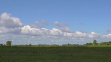 Genç kadın binici dörtnala tarafından sahada bir binicilik