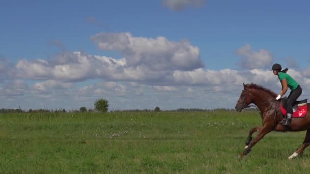 Młoda kobieta jeźdźca na koniu przez galop na polu — Wideo stockowe