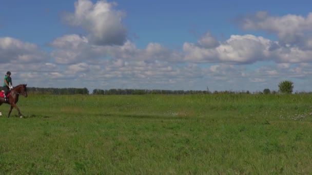 Mujer joven montando un caballo trotando en el campo — Vídeos de Stock