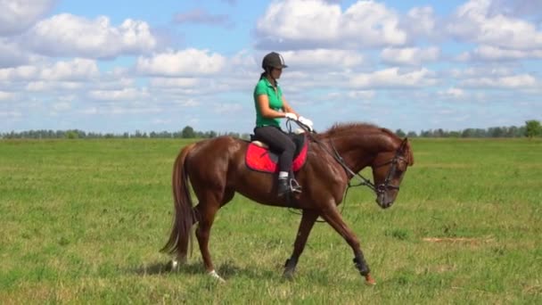 Jovem mulher cavaleiro montando um cavalo no campo — Vídeo de Stock