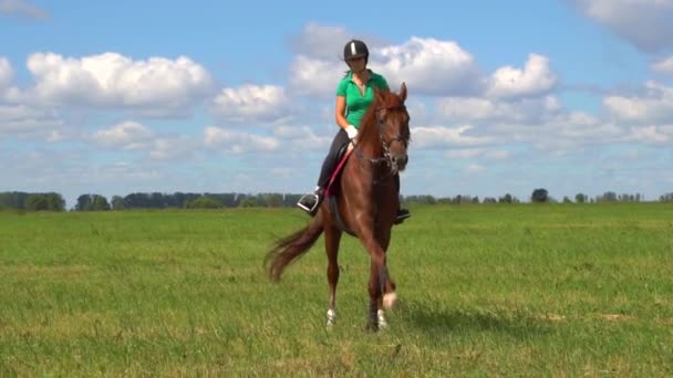 Mulher passeio cavalo casco bate e jogar com cavaleiro — Vídeo de Stock