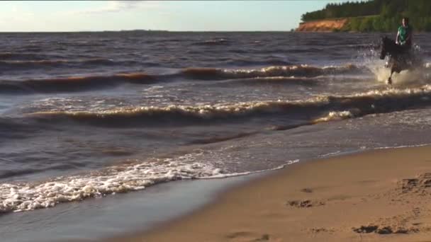 Mulher montando a cavalo na praia do rio na água luz do pôr do sol — Vídeo de Stock