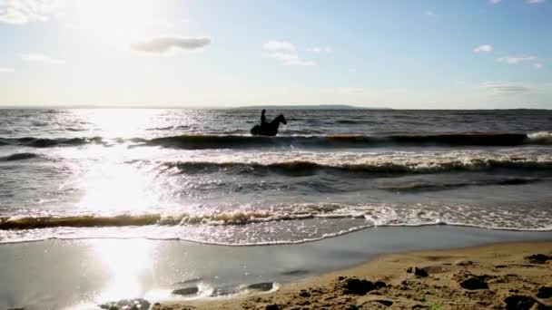 Vrouw rijden op paard op rivier strand in water zonsondergang licht — Stockvideo