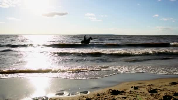 Kvinna som rider på hästen på river beach i vatten solnedgången ljus — Stockvideo