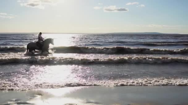 Duas mulheres montam a cavalo na praia do rio na luz do pôr do sol da água — Vídeo de Stock