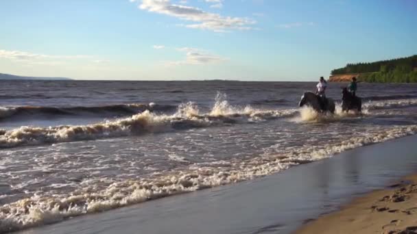 Twee vrouwen rijden op paard op rivier strand in water zonsondergang licht — Stockvideo