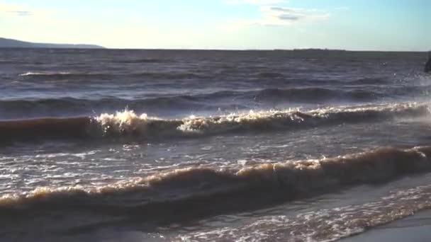 Dos mujeres montan a caballo en la playa del río en la luz del atardecer del agua — Vídeos de Stock