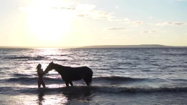 Jonge sexy vrouw gekleed bikini rest met paard in de rivier water zonsondergang — Stockvideo