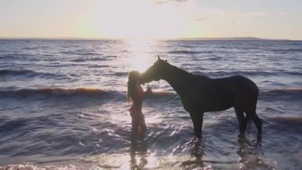 Jonge sexy vrouw gekleed bikini rest met paard in de rivier water zonsondergang — Stockvideo