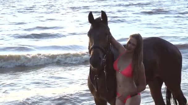 Молодая сексуальная женщина в бикини заботиться о лошади в реке закат воды — стоковое видео