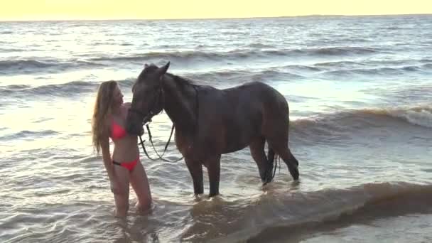 Jonge sexy vrouw gekleed bikini verzorgen over paard in de rivier water zonsondergang — Stockvideo