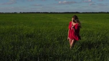 Mutlu kadın doğanın keyfini alanda yürüyüş güzel sarışın. Özgürlük kavramı.