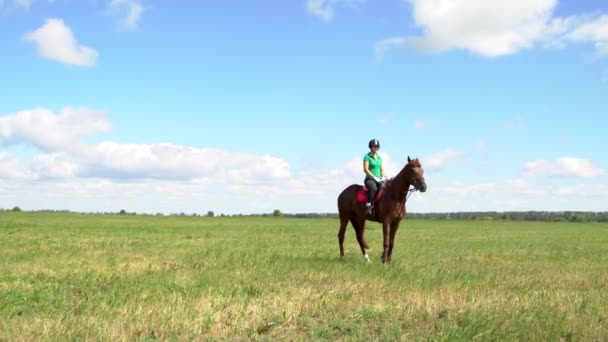 Ung kvinna rider Rider en häst på fältet — Stockvideo