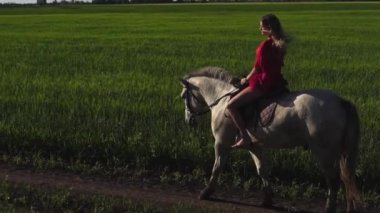 Sahada bir beyaz binicilik genç güzel kadın binici