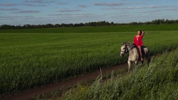 Молодая красивая женщина всадник верхом на белом коне на поле — стоковое видео