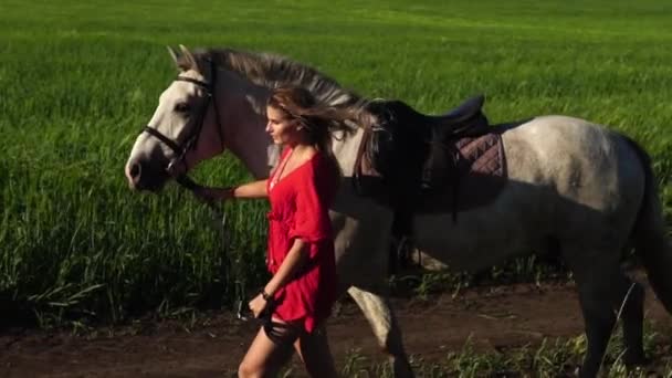 Jovem bela mulher chumbo passeio com um cavalo branco no campo verde — Vídeo de Stock