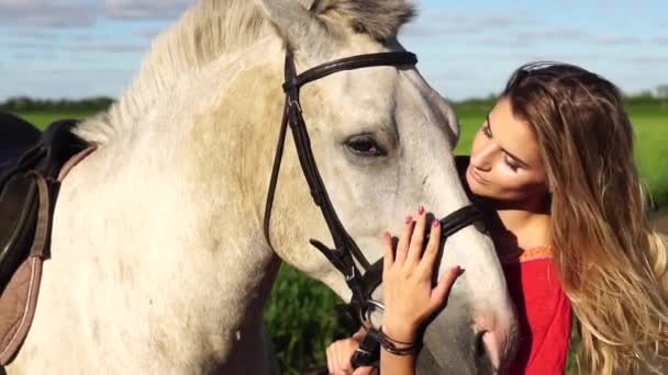 Porträtt av ung vacker kvinna dreesed i rött med vita hästen nära fältet — Stockvideo