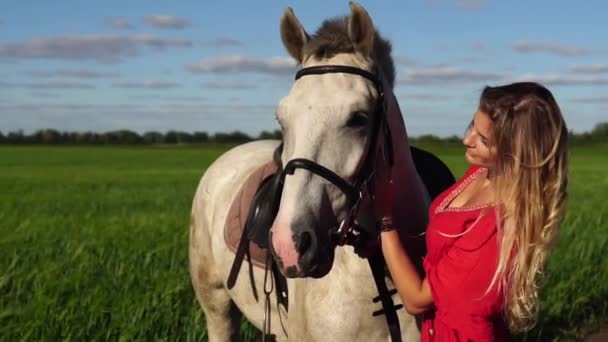 Portrait de jeune belle femme dreesed en rouge avec cheval blanc près du champ — Video