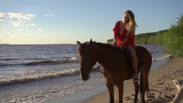 Mujer montando a caballo en la playa del río en la luz del atardecer del agua — Vídeos de Stock