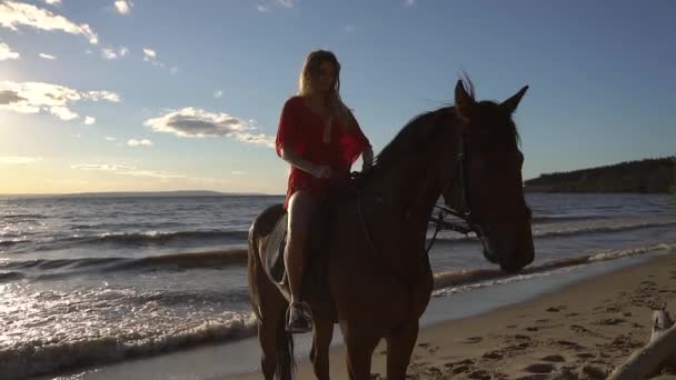 Femme chevauchant à cheval à la plage de la rivière dans l'eau lumière du coucher du soleil — Video