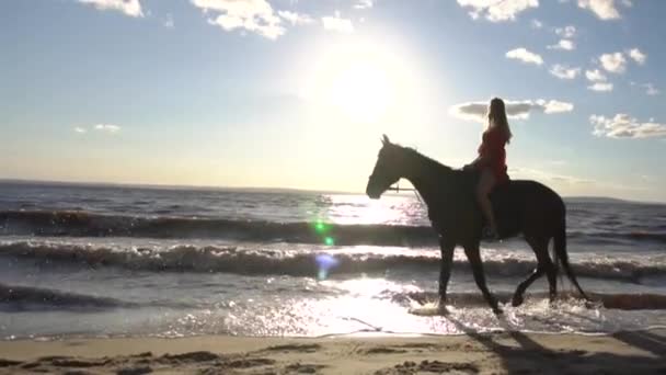 Femme chevauchant à cheval à la plage de la rivière dans l'eau lumière du coucher du soleil — Video