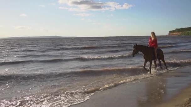 Woman riding on horse at river beach in water sunset light — Stock Video
