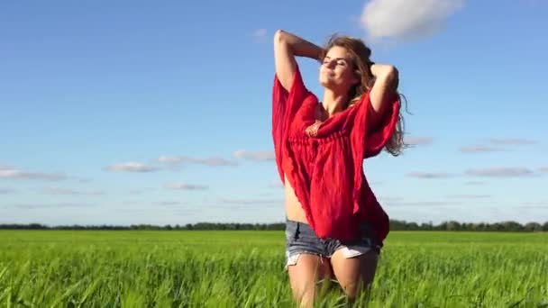 Mujer feliz disfrutando de la naturaleza hermosa rubia posando en el campo. Concepto feliz . — Vídeo de stock